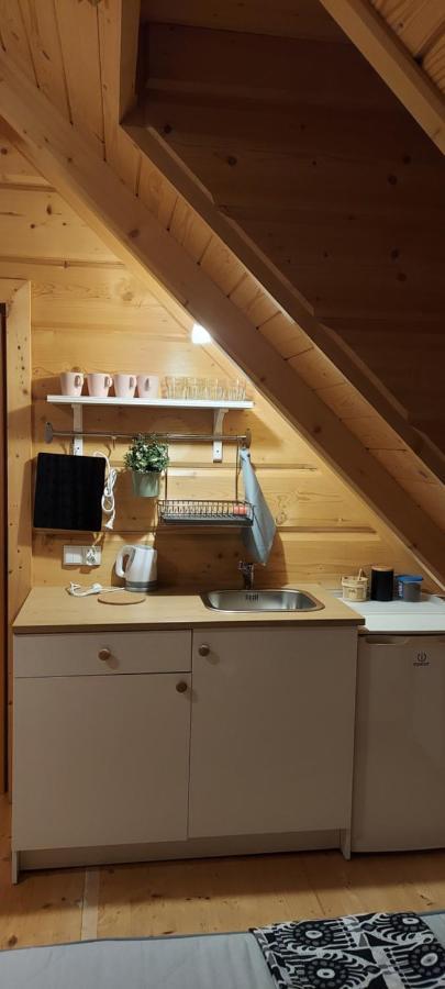 Grazynka Apartment Zakopane Bagian luar foto