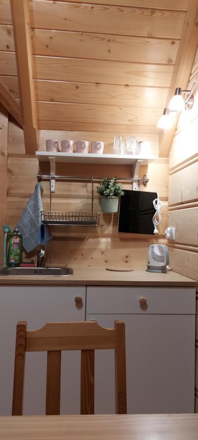 Grazynka Apartment Zakopane Bagian luar foto